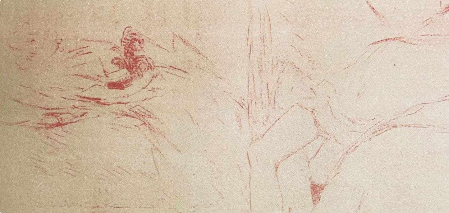 Henri De Toulouse-Lautrec, Composition, Images De Lautrec, 21 Planches En Couleurs, Collezione