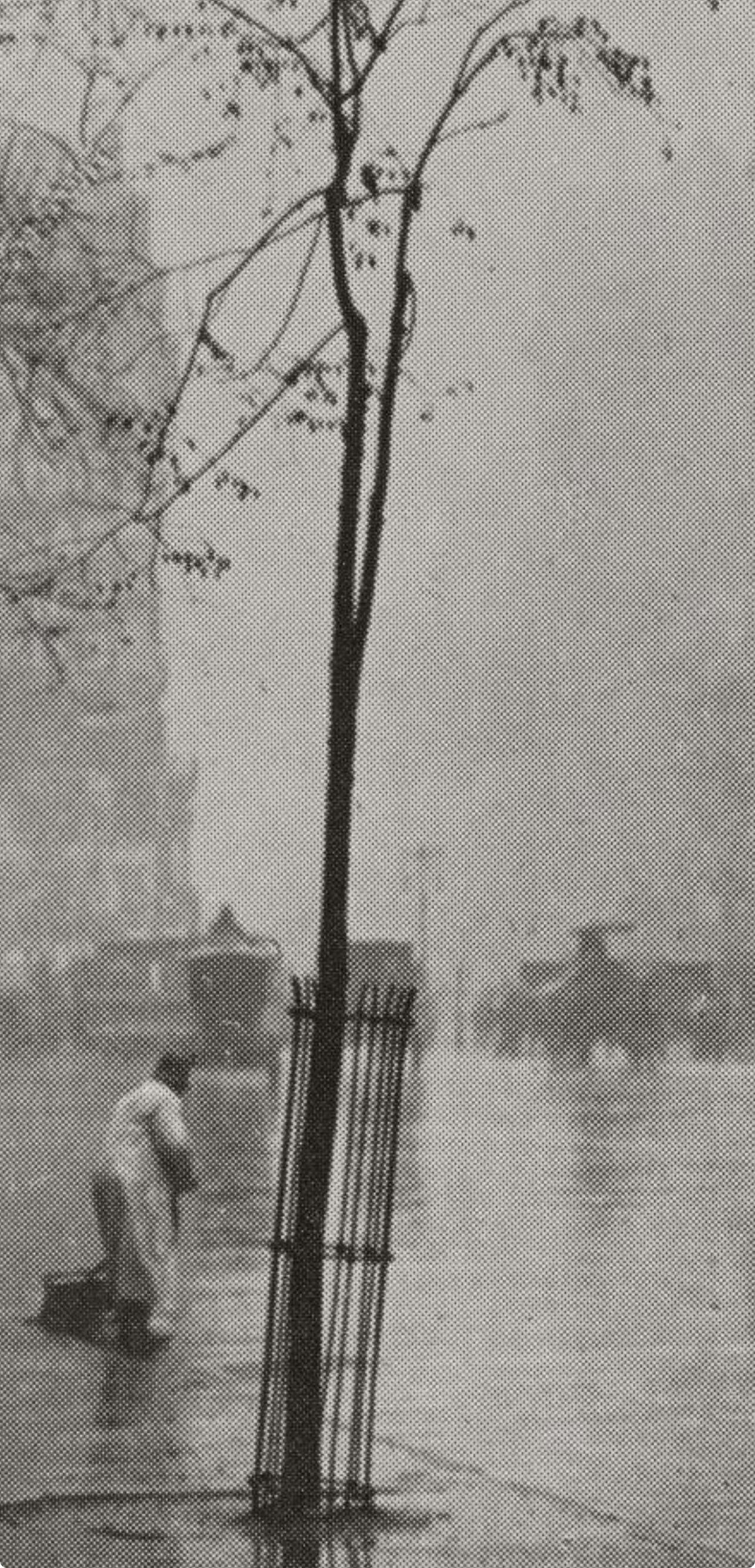 Alfred Stieglitz, Spring Showers, New York, Alfred Stieglitz Memorial Portfolio 1864-1946, Halftone