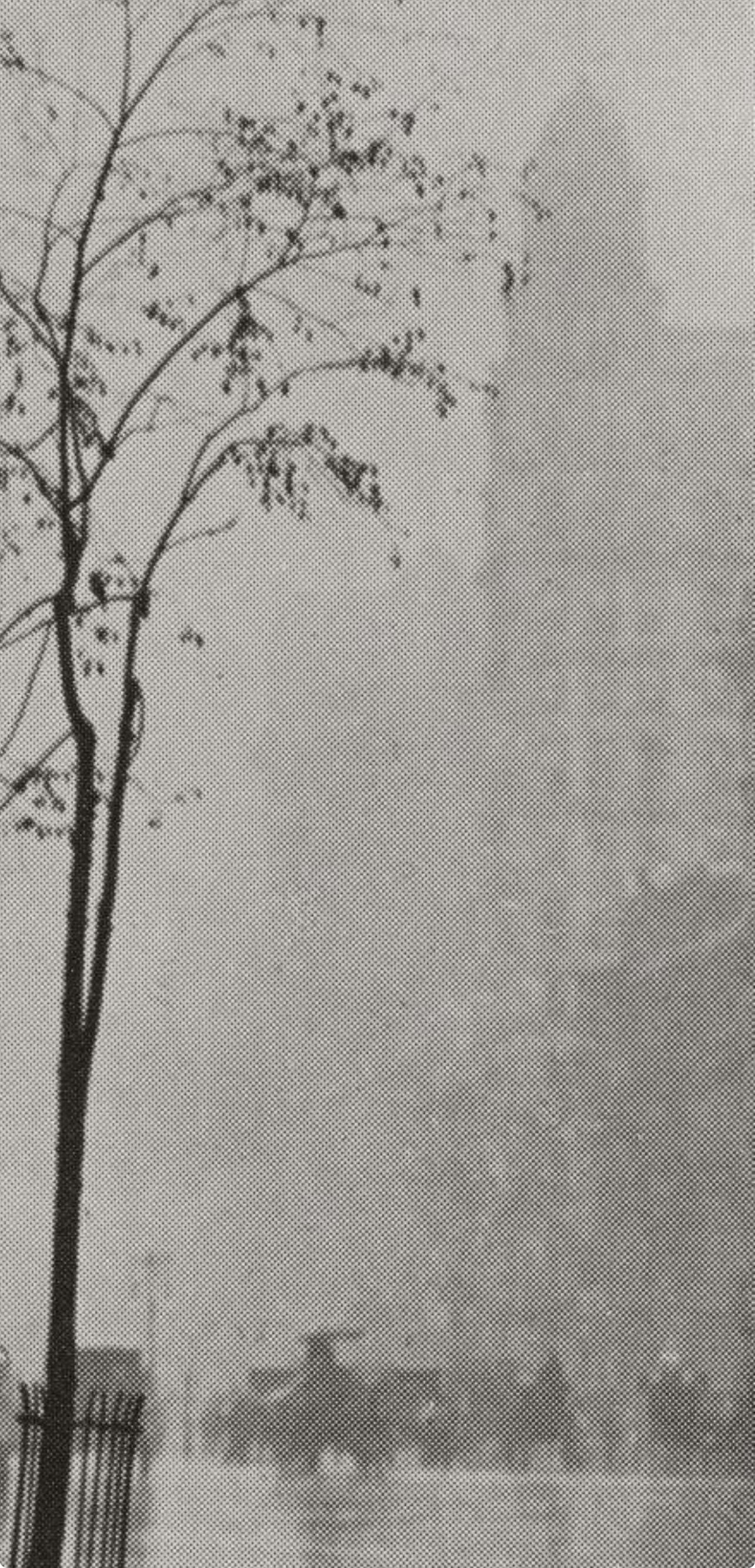 Alfred Stieglitz, Spring Showers, New York, Alfred Stieglitz Memorial Portfolio 1864-1946, Halftone