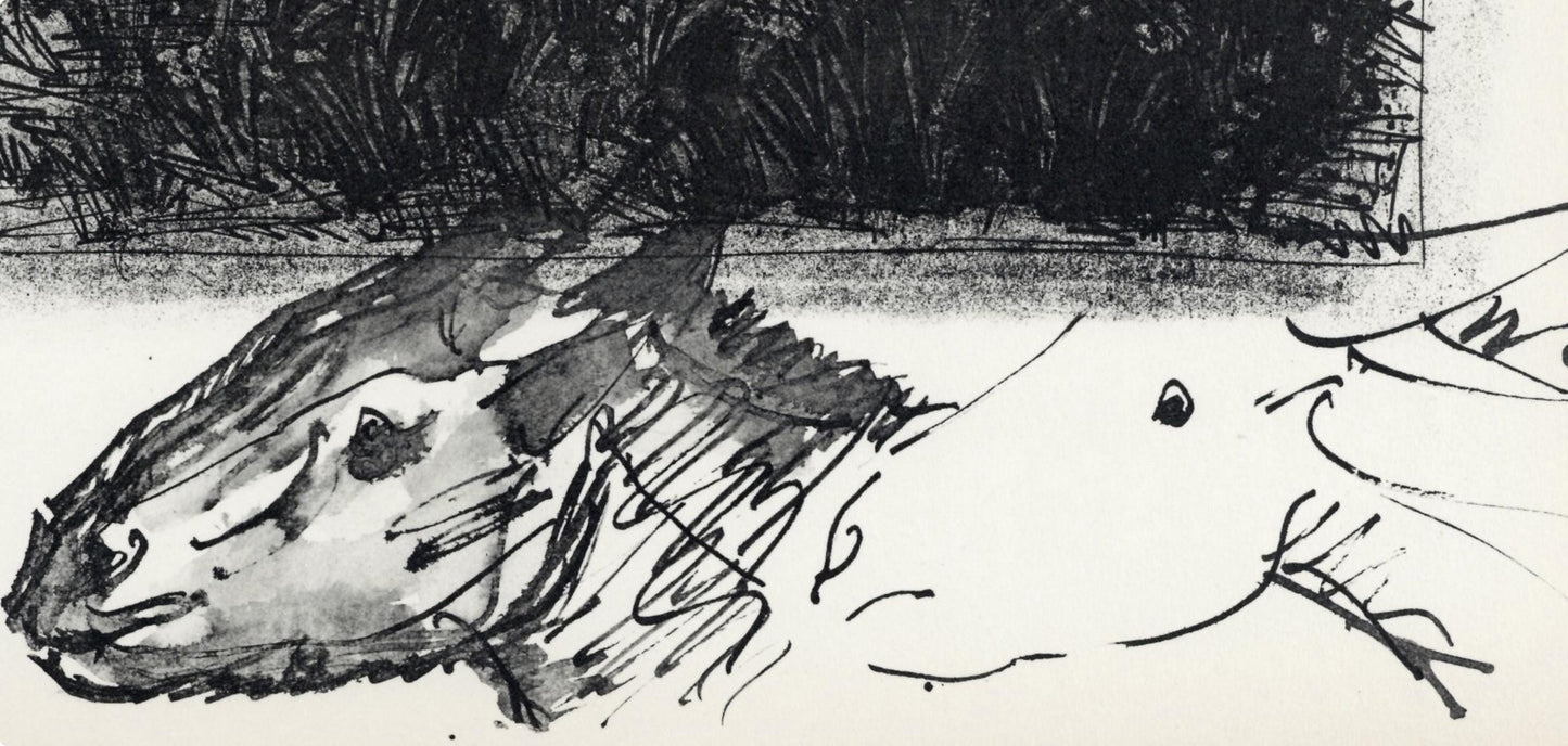 Pablo Picasso, Anes, Sur Une Planche Grave (Cramer No. 84), 40 Dessins De Picasso En Marge Du