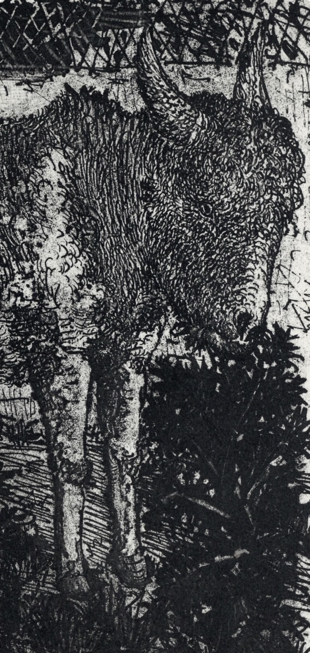Pablo Picasso, Anes, Sur Une Planche Grave (Cramer No. 84), 40 Dessins De Picasso En Marge Du