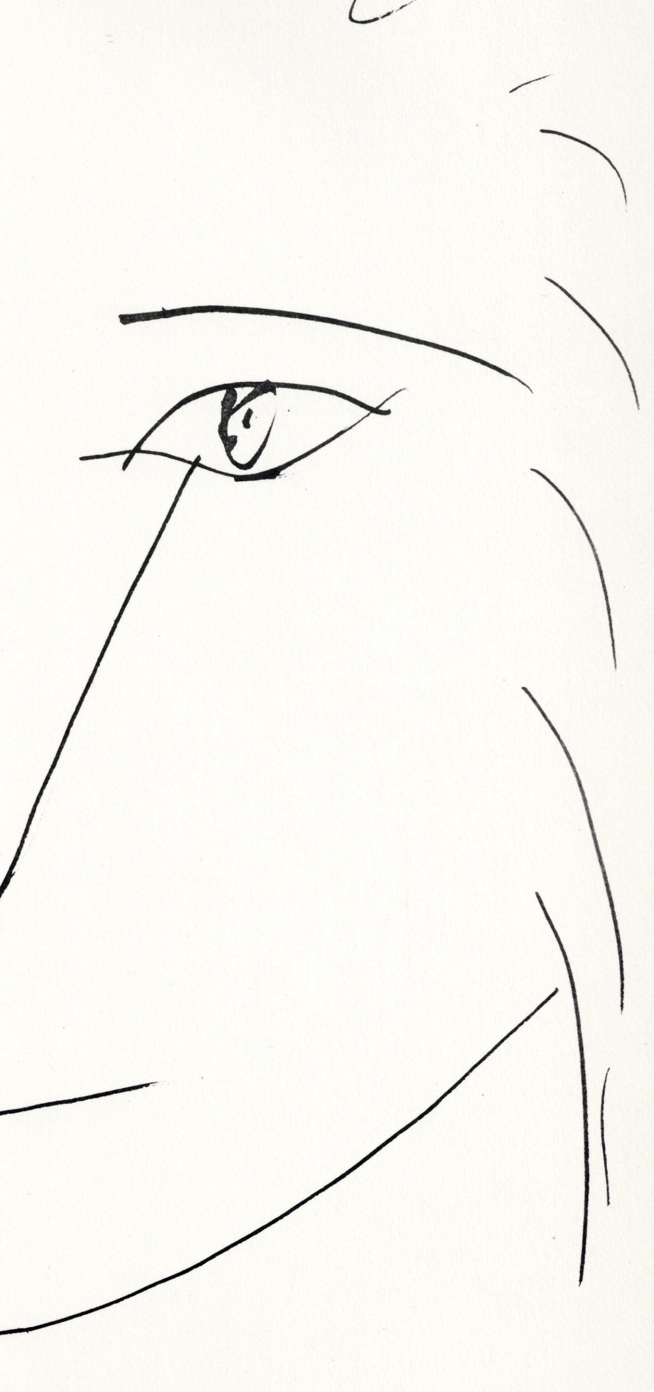Pablo Picasso, Tte De Lion (Cramer No. 84), 40 Dessins De Picasso En Marge Du Buffon, Lithograph