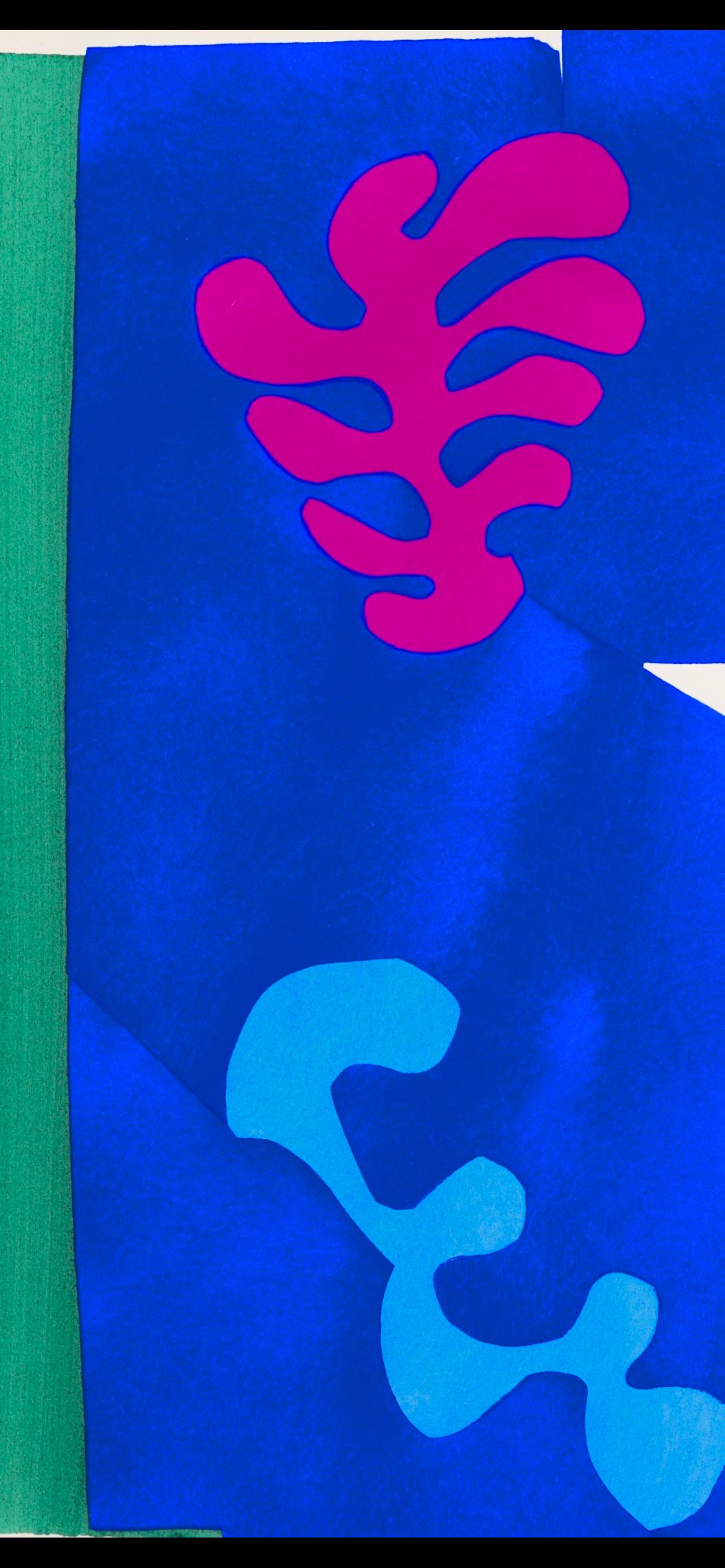 Henri Matisse, Le Cheval, L'Cuyre Et Le Clown, Jazz, Special Edition For The Museum Of Modern Art,