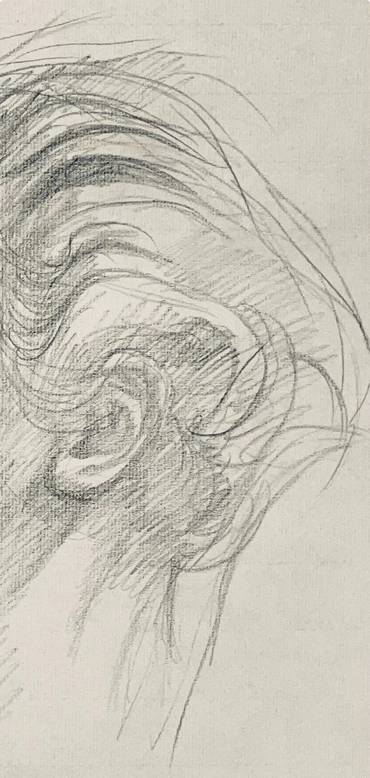 Ian Hornak, Renaissance Male Nude Figure Study, 1963, Original Drawing