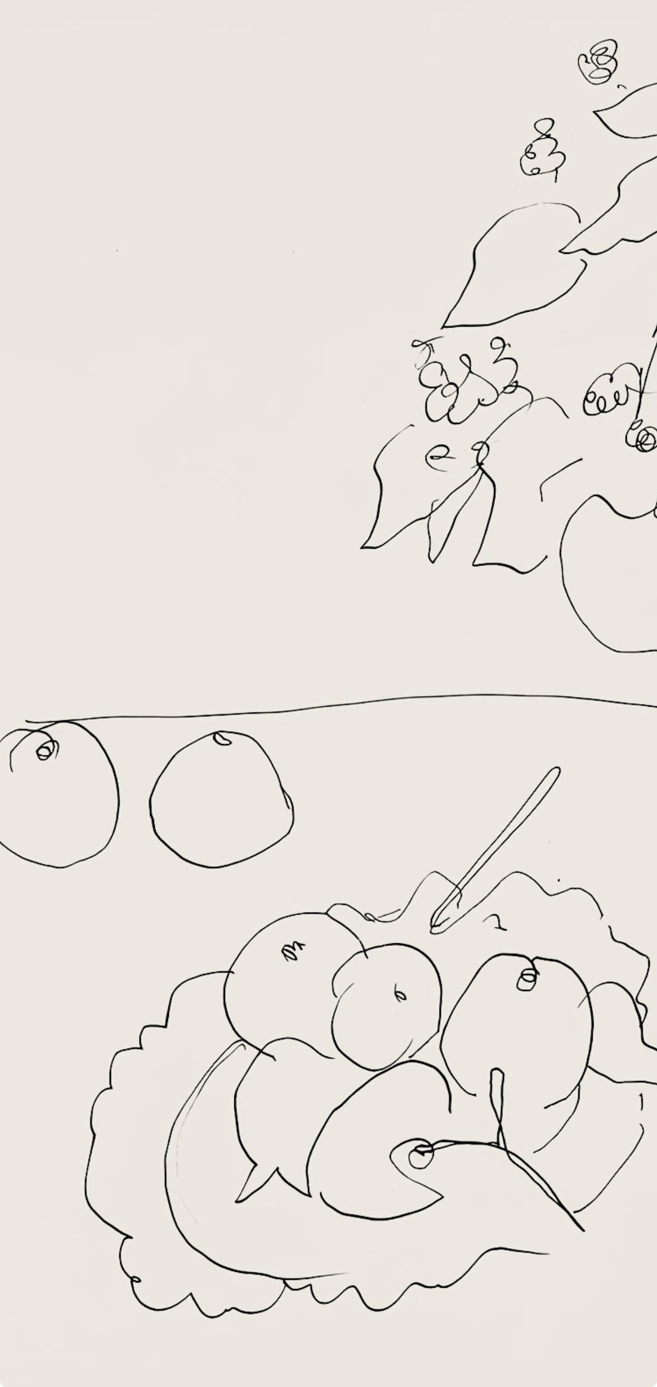 Henri Matisse, Srie A, Var. 3 (Duthuit 9), Henri Matisse, Dessins, Thmes Et Variations, Lithograph