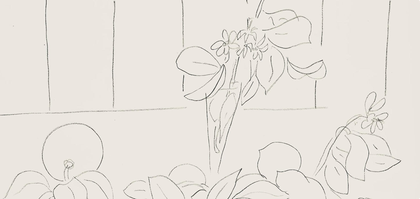 Henri Matisse, Srie M, Var. 7 (Duthuit 9), Henri Matisse, Dessins, Thmes Et Variations, Lithograph