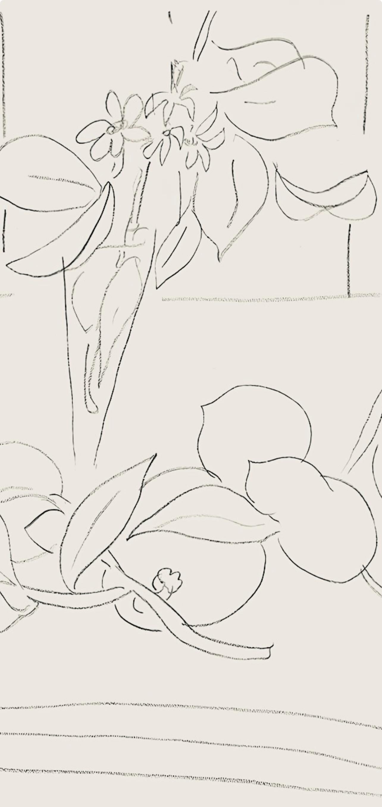 Henri Matisse, Srie M, Var. 7 (Duthuit 9), Henri Matisse, Dessins, Thmes Et Variations, Lithograph