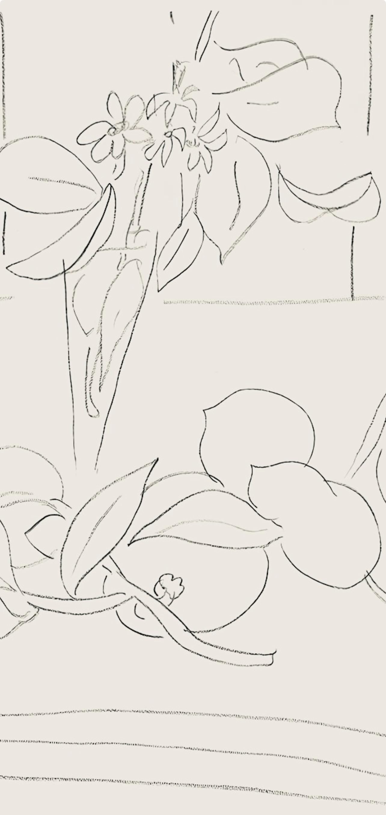Henri Matisse, Srie M, Var. 7 (Duthuit 9), Henri Matisse, Dessins, Thmes Et Variations, Lithograph