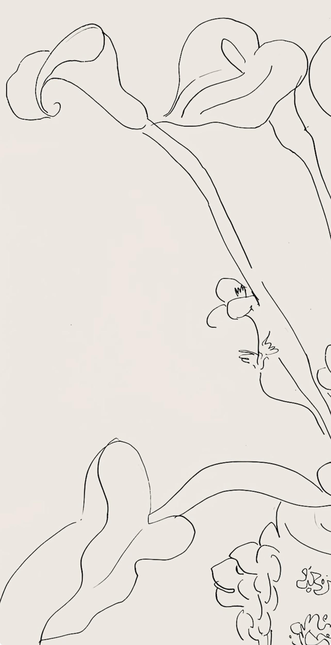 Henri Matisse, Srie N Gc'S, Var. 6 (Duthuit 9), Henri Matisse, Dessins, Thmes Et Variations,