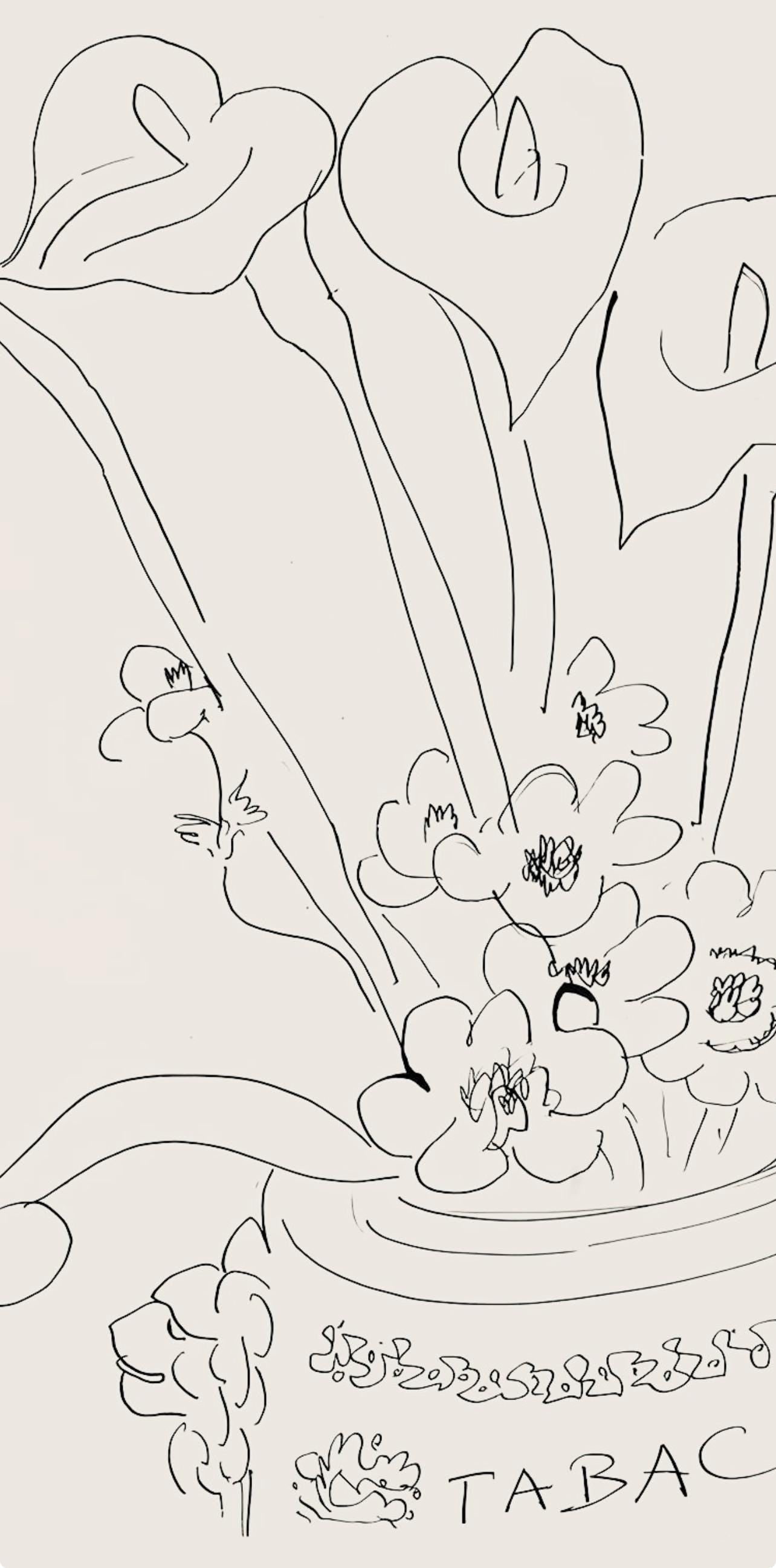 Henri Matisse, Srie N Gc'S, Var. 6 (Duthuit 9), Henri Matisse, Dessins, Thmes Et Variations,