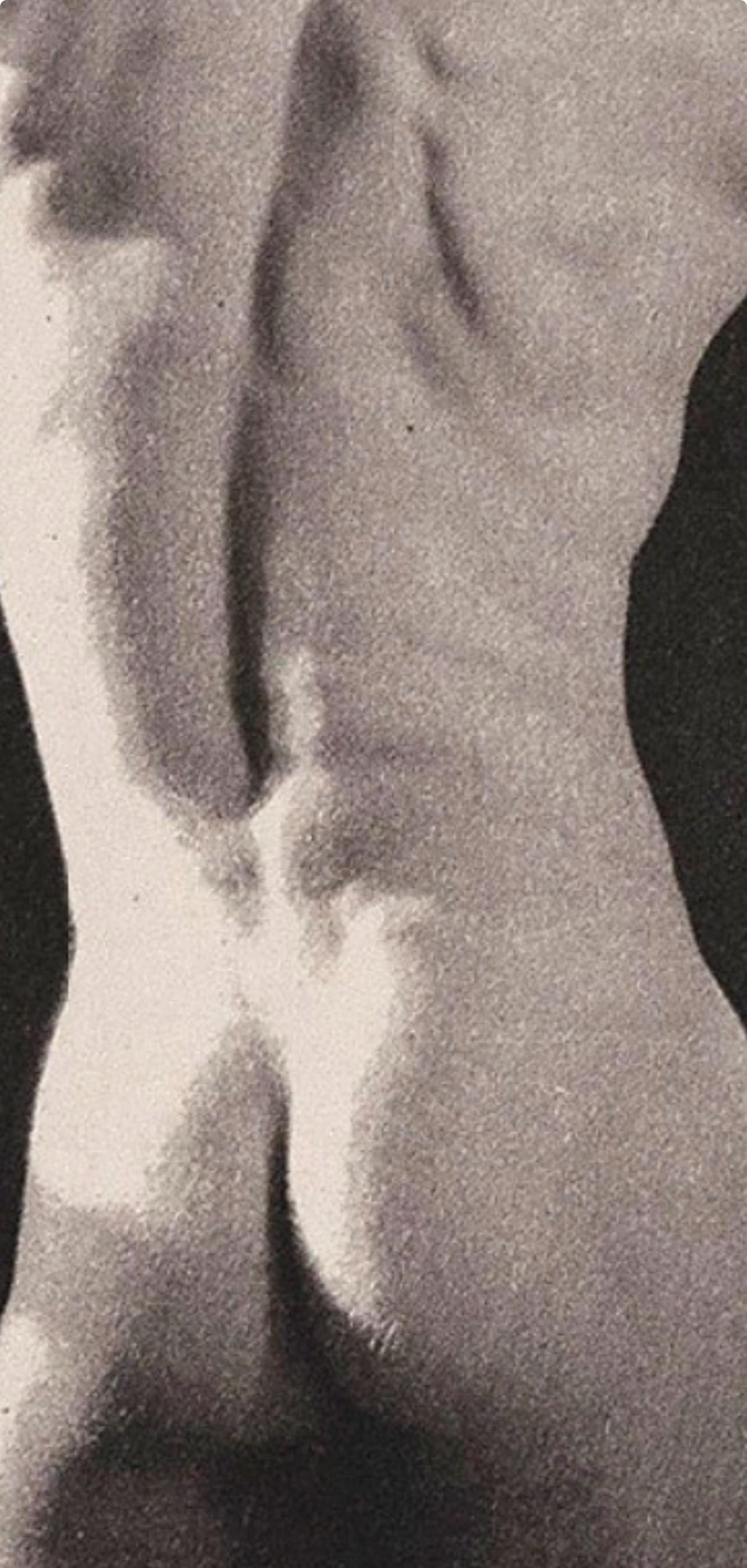 Robert Mapplethorpe, Composition, A Season In Hell, Photogravure