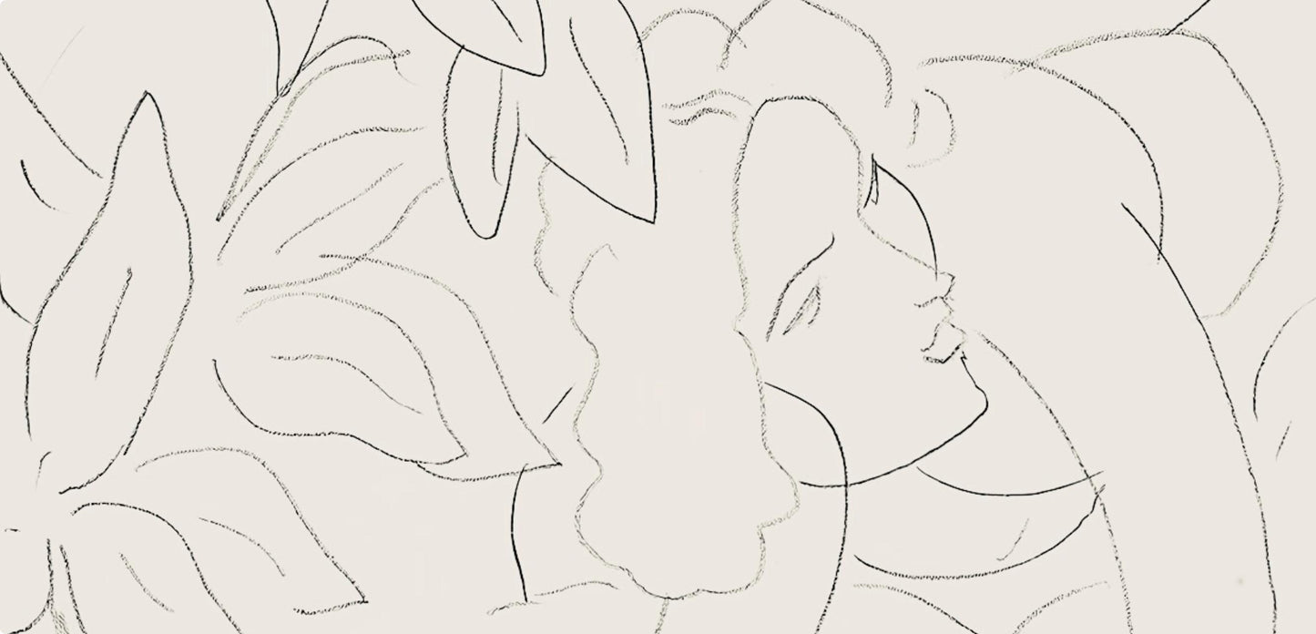 Henri Matisse, Srie E, Var. 8 (Duthuit 9), Henri Matisse, Dessins, Thmes Et Variations, Lithograph