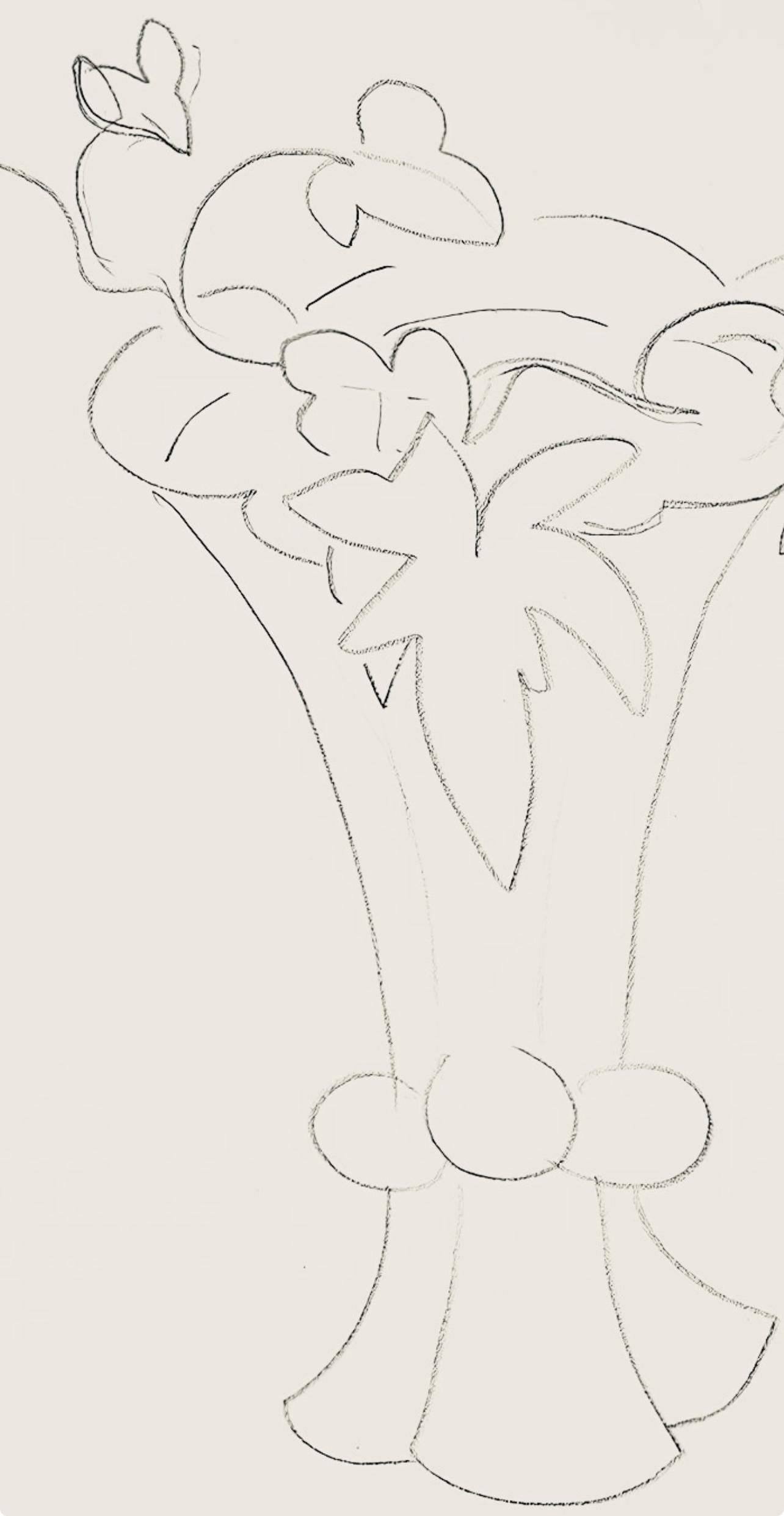 Henri Matisse, Srie H, Var. 4 (Duthuit 9), Henri Matisse, Dessins, Thmes Et Variations, Lithograph