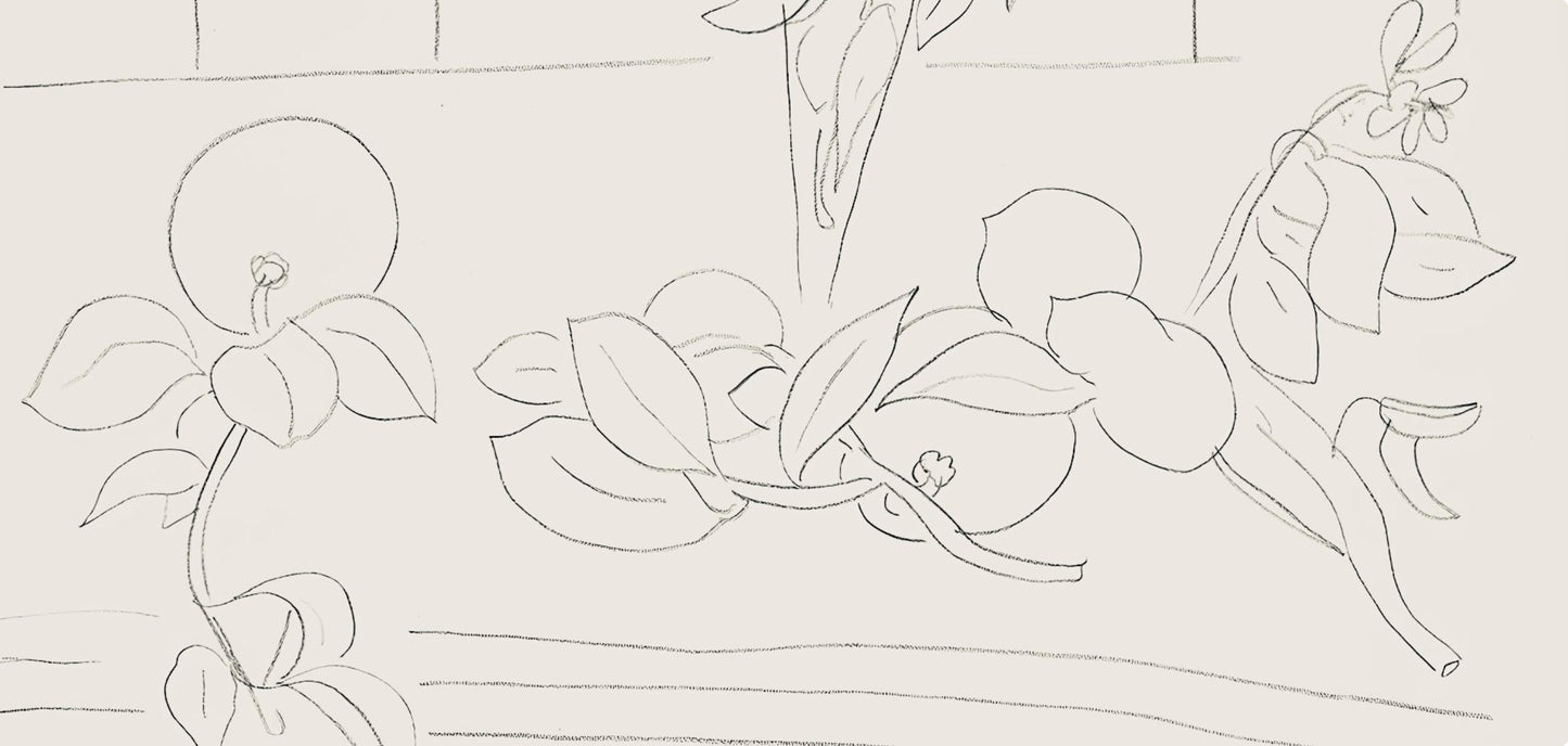 Henri Matisse, Srie M, Var. 7 (Duthuit 9), Henri Matisse, Dessins, Thmes Et Variations, Lithograph