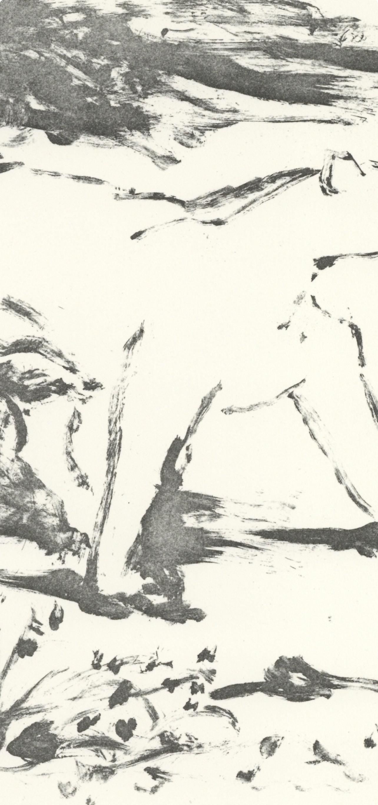 Pablo Picasso, La Lionne (The Lioness) (Orozco P.82), Histoire Naturelle, Lithograph