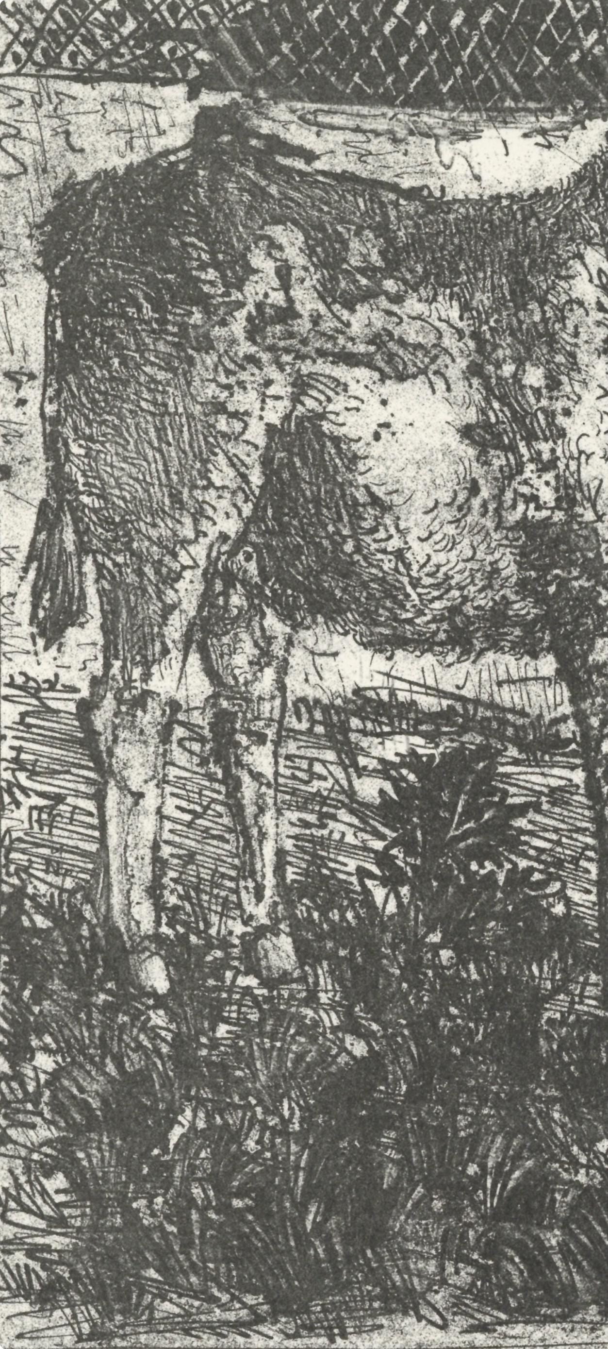 Pablo Picasso, L'Ne (The Donkey) (Orozco P.82), Histoire Naturelle, Lithograph