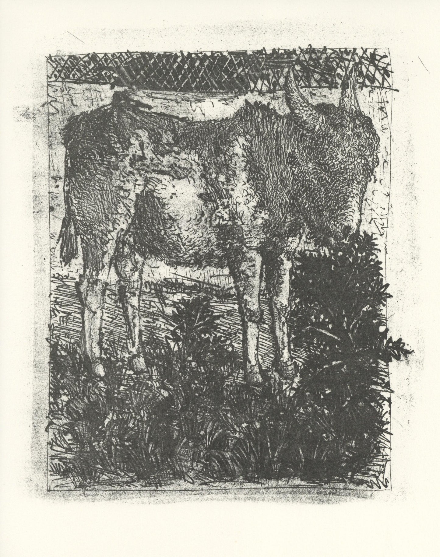 Pablo Picasso, L'Ne (The Donkey) (Orozco P.82), Histoire Naturelle, Lithograph