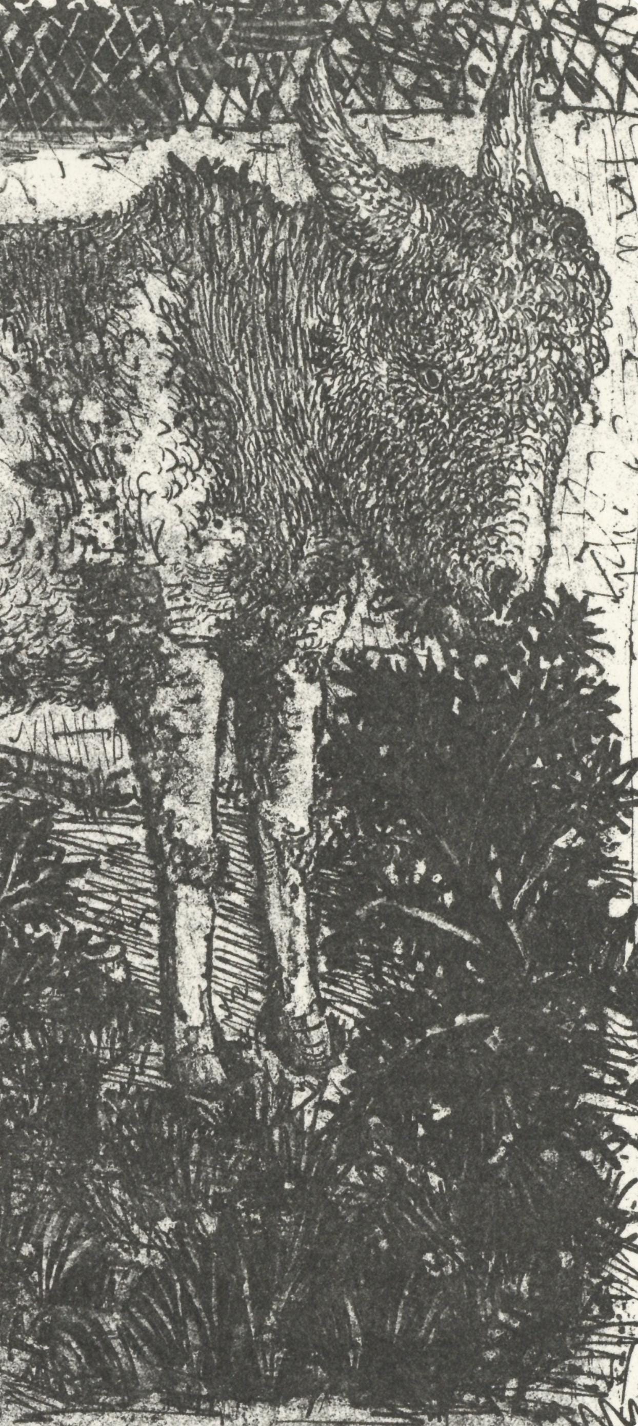 Pablo Picasso, L'Ne (The Donkey) (Orozco P.82), Histoire Naturelle, Lithograph