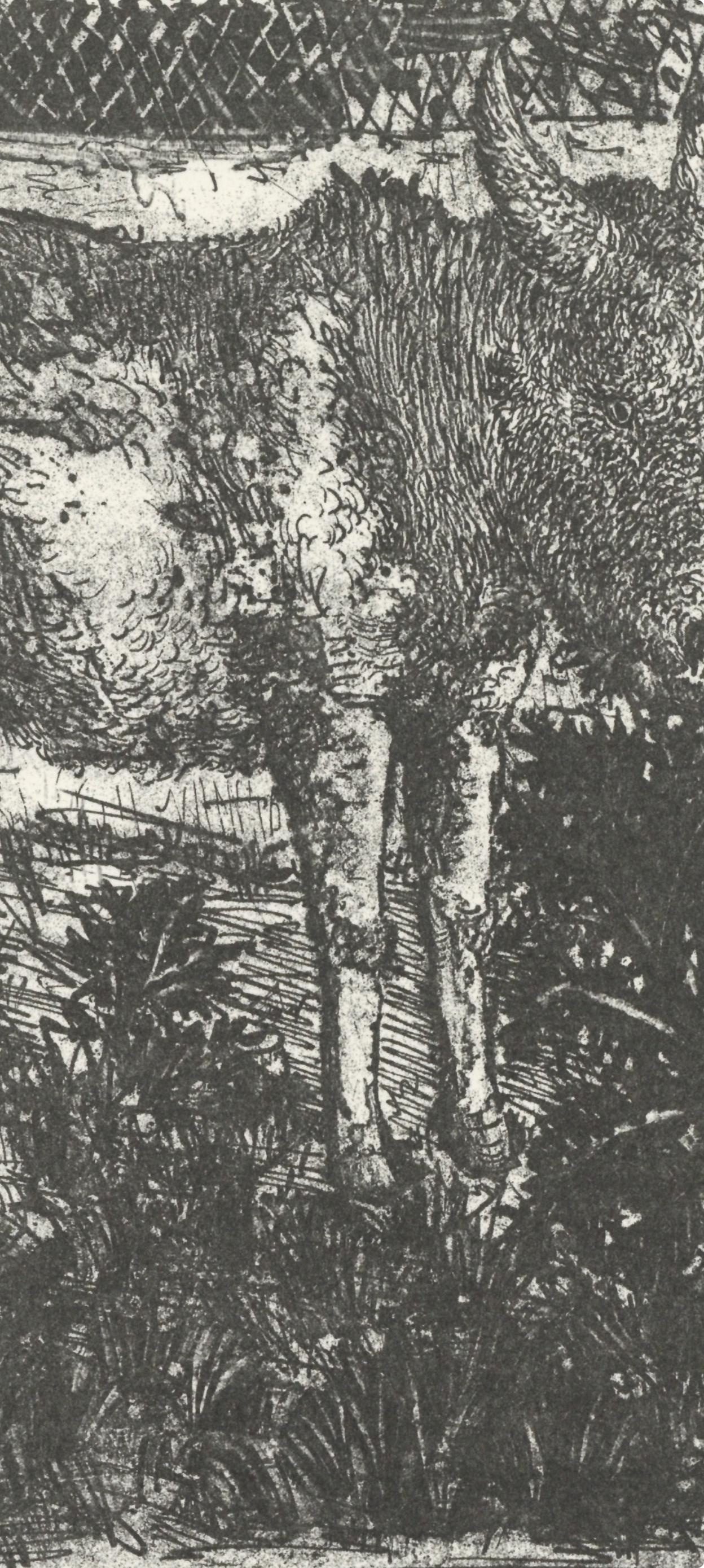 Pablo Picasso, L'Ne (The Donkey) (Orozco P.82), Histoire Naturelle, Lithograph