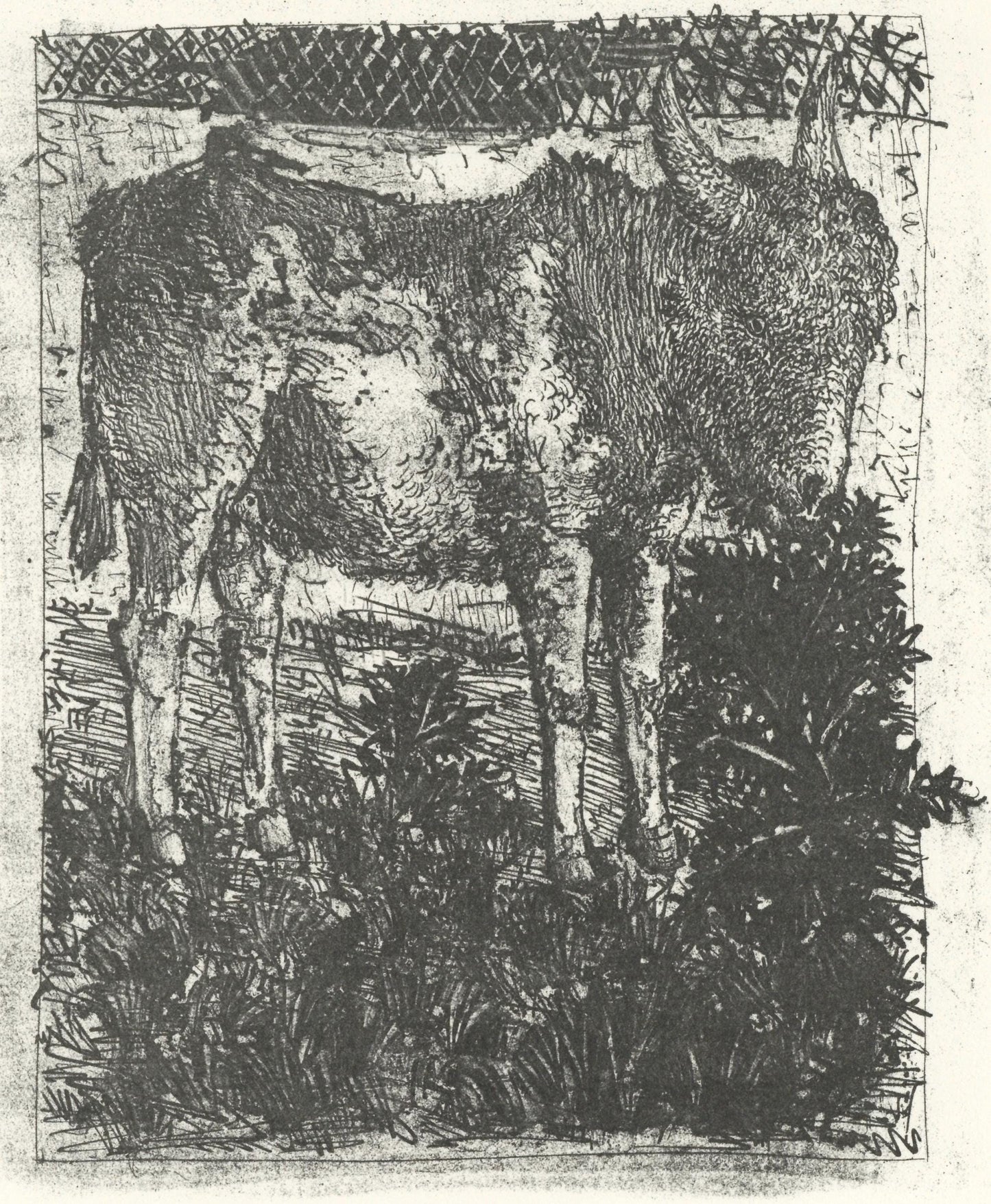 Pablo Picasso, L'Ne (The Donkey) (Orozco P.82), Histoire Naturelle, Lithograph
