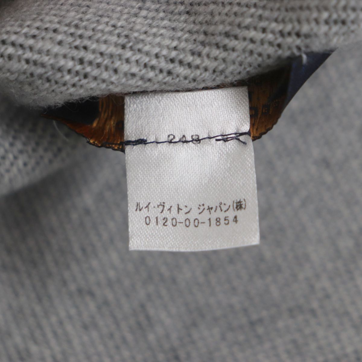 Louis Vuitton Scarf Main