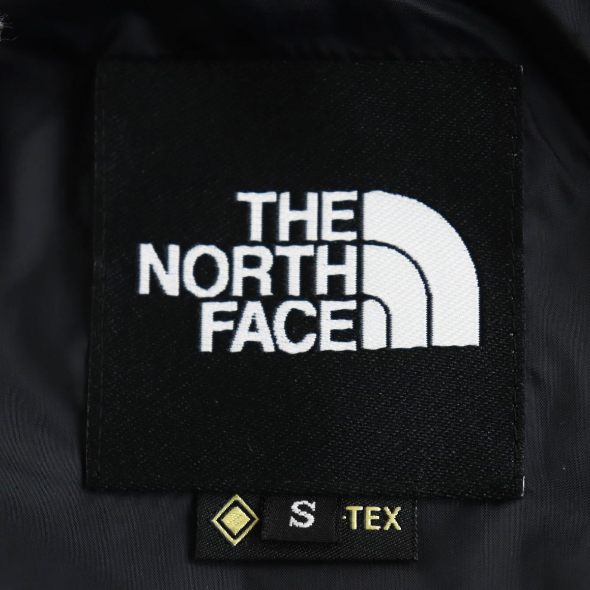 The North Face Mountain Hoodie Outer