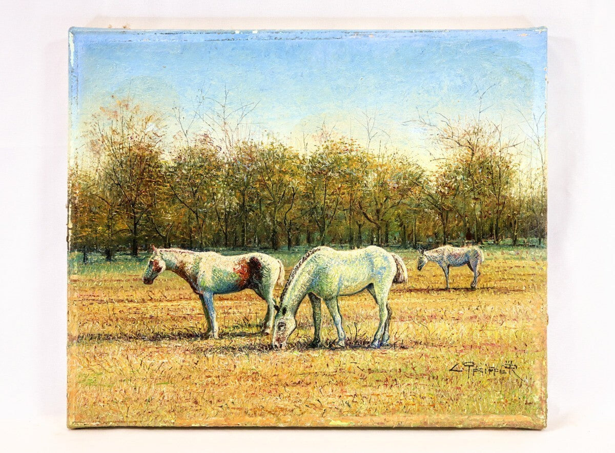 Valerie Pfeiffer Original Oil Painting -White Horses San Antonio De Areco Signed