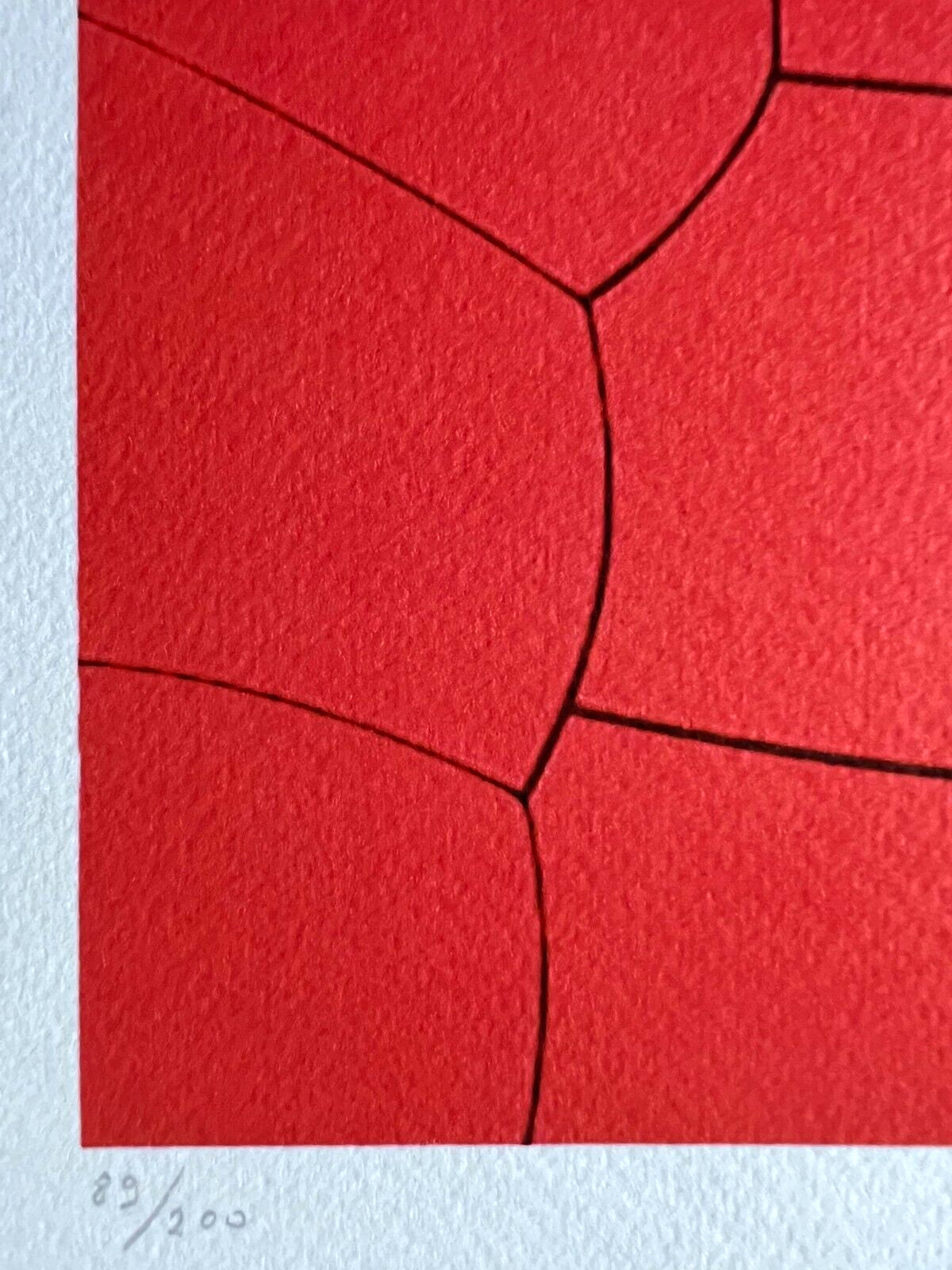 Kaws Lithograph Coa Mori Art Museum Limited Edition