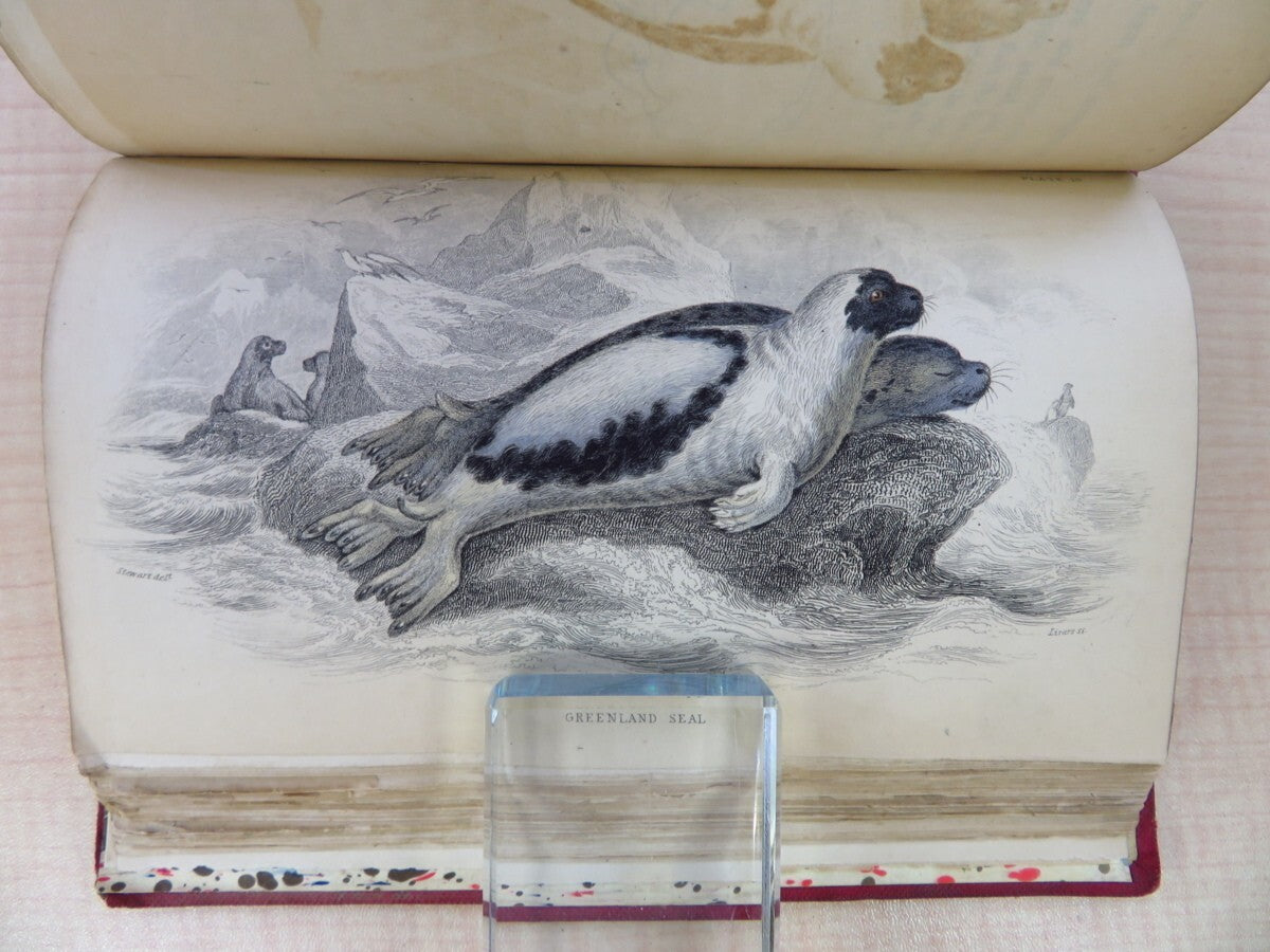 William Jardine The Naturalist'S Library. Vol Xvii. Mammalia: British Quadrupeds