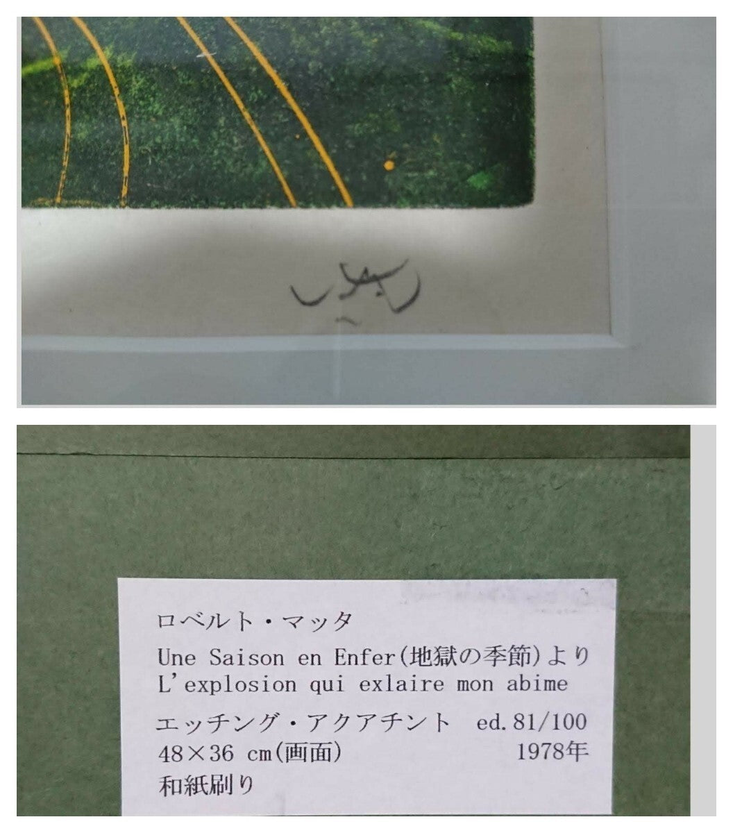 Roberto Matta Original Etching Aquatint 1978 Ed100 Signed Surrealism Art Print