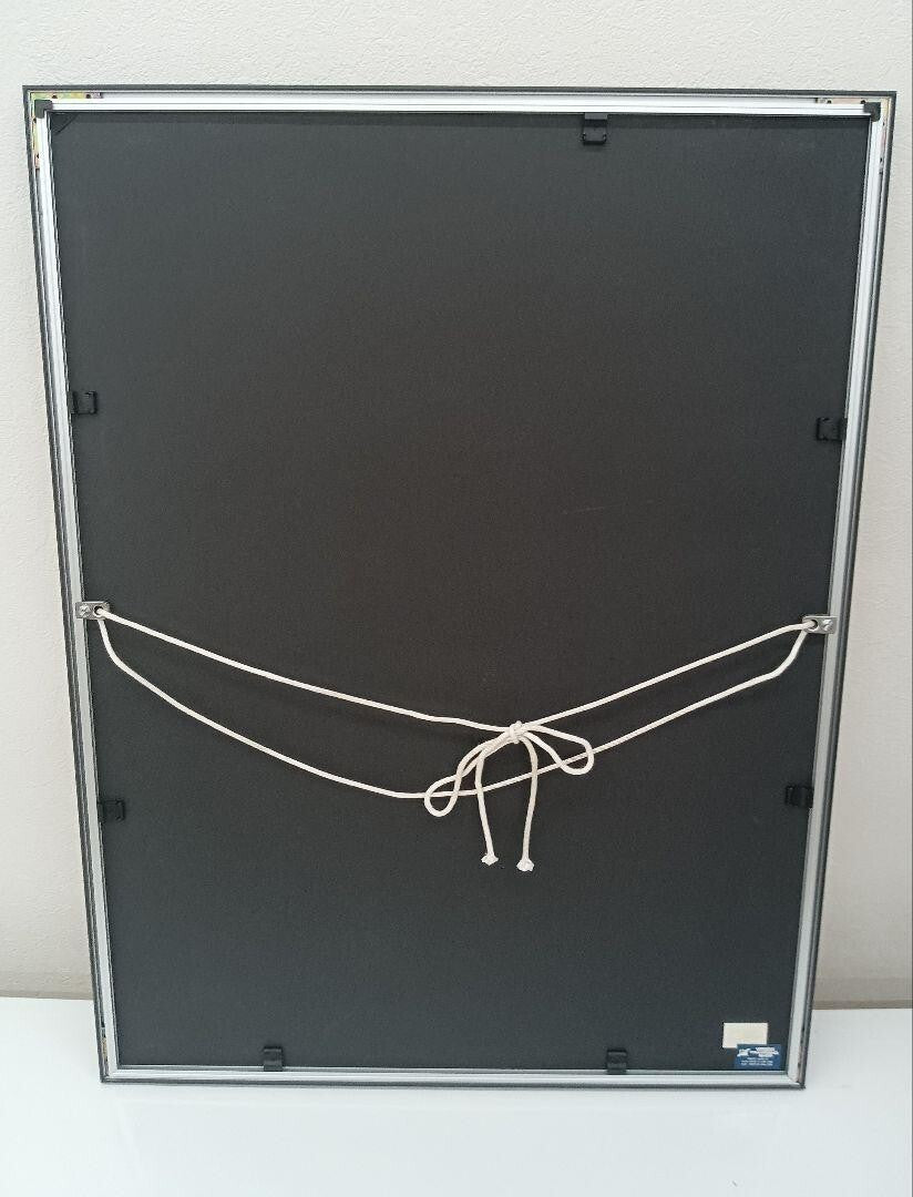 II Kim En Joong Signed Original Lithograph Print Framed ED225 Monde imaginaire