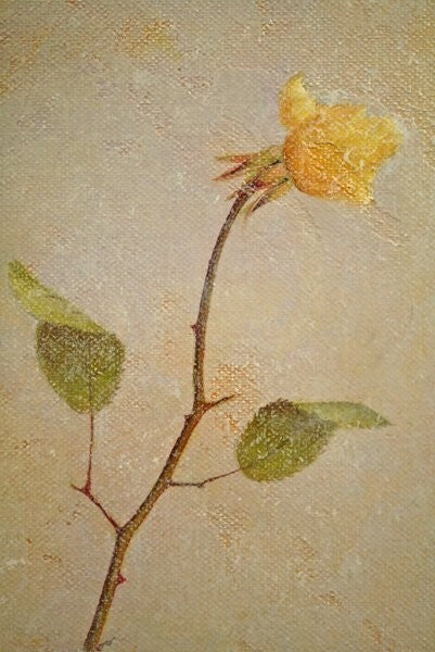Tomasa Martin (Spain) Still Life Original Oil