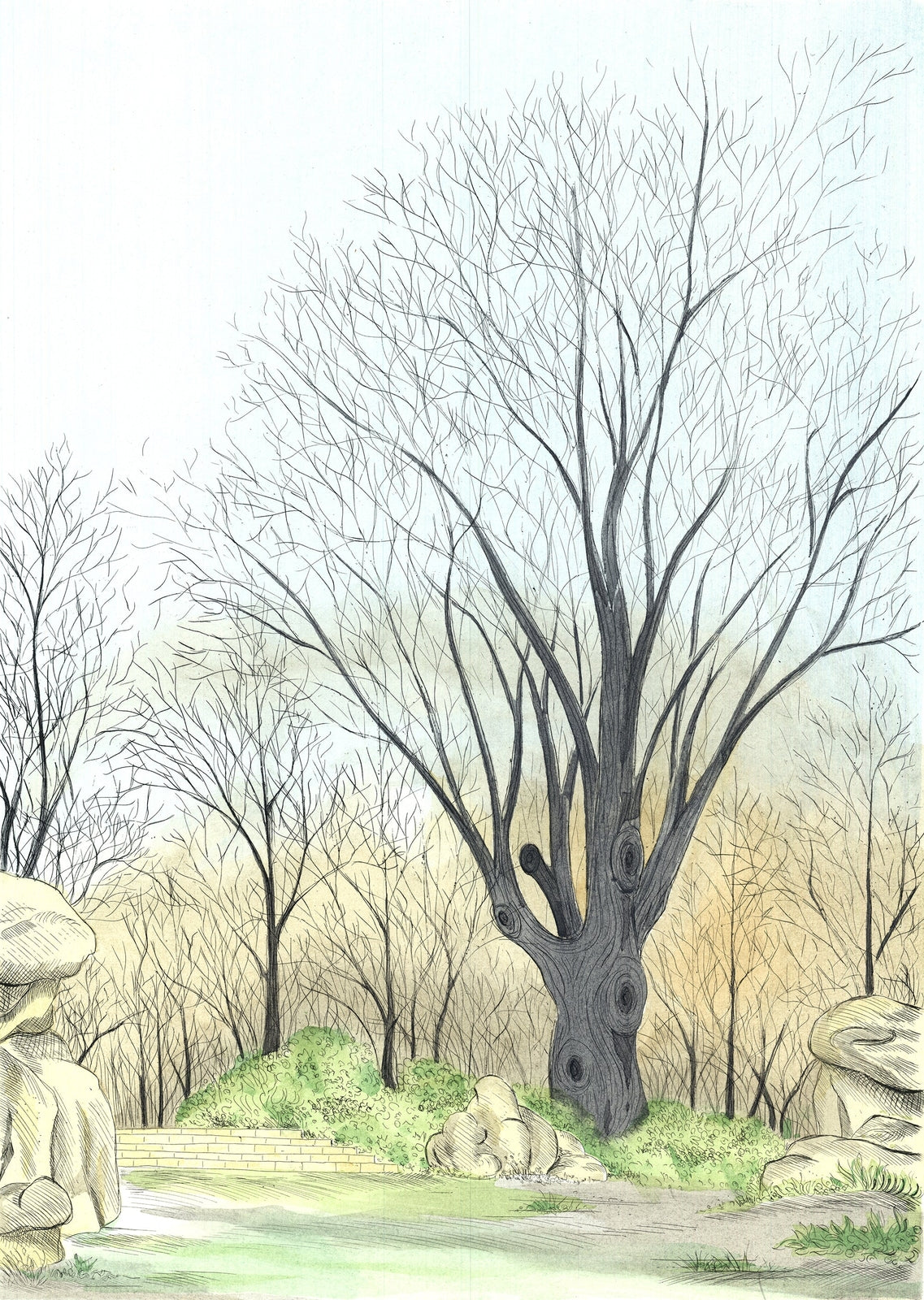 Borris Saillart Barren Tree Signed " Lithograph Realism Pastel