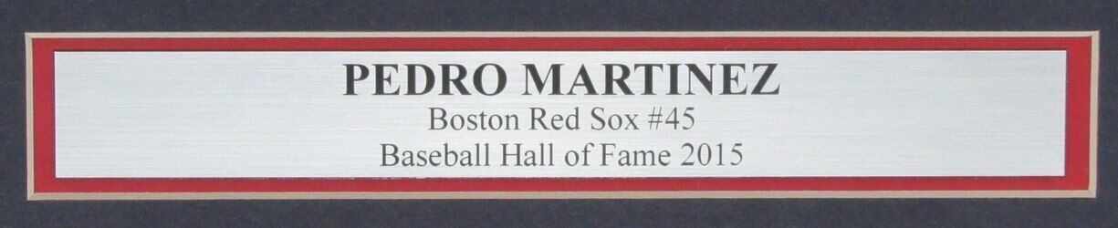 Pedro Martinez Hof Autographed 16X20 Photo Boston