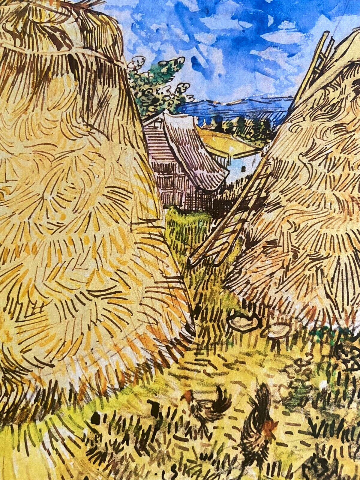 Vincent Van Gogh Lithograph From An Painting Coa
