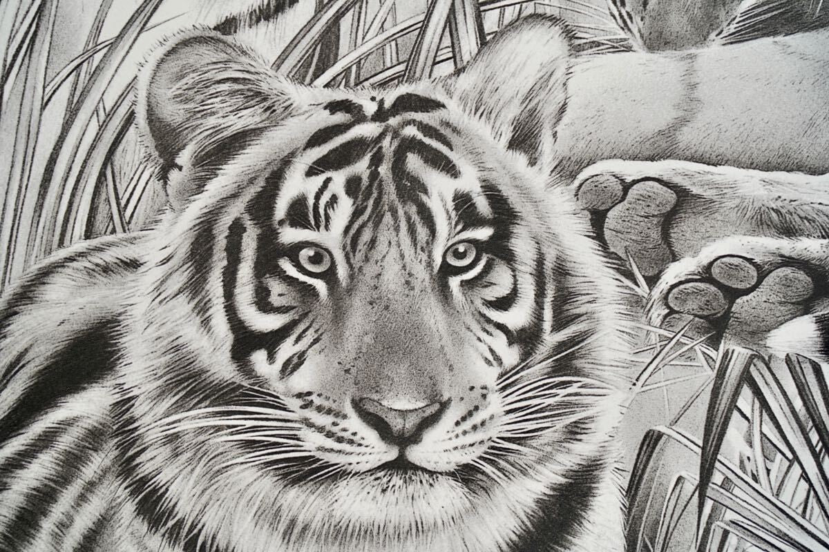 Beppe Spadacini (Italy) Original Silkscreen Print Save The Tigers Signed Framed