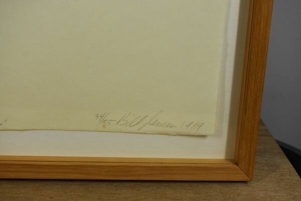 Bill Jensen (American, B. 1945) Original Intaglio Print 1989 Signed Framed Ed55