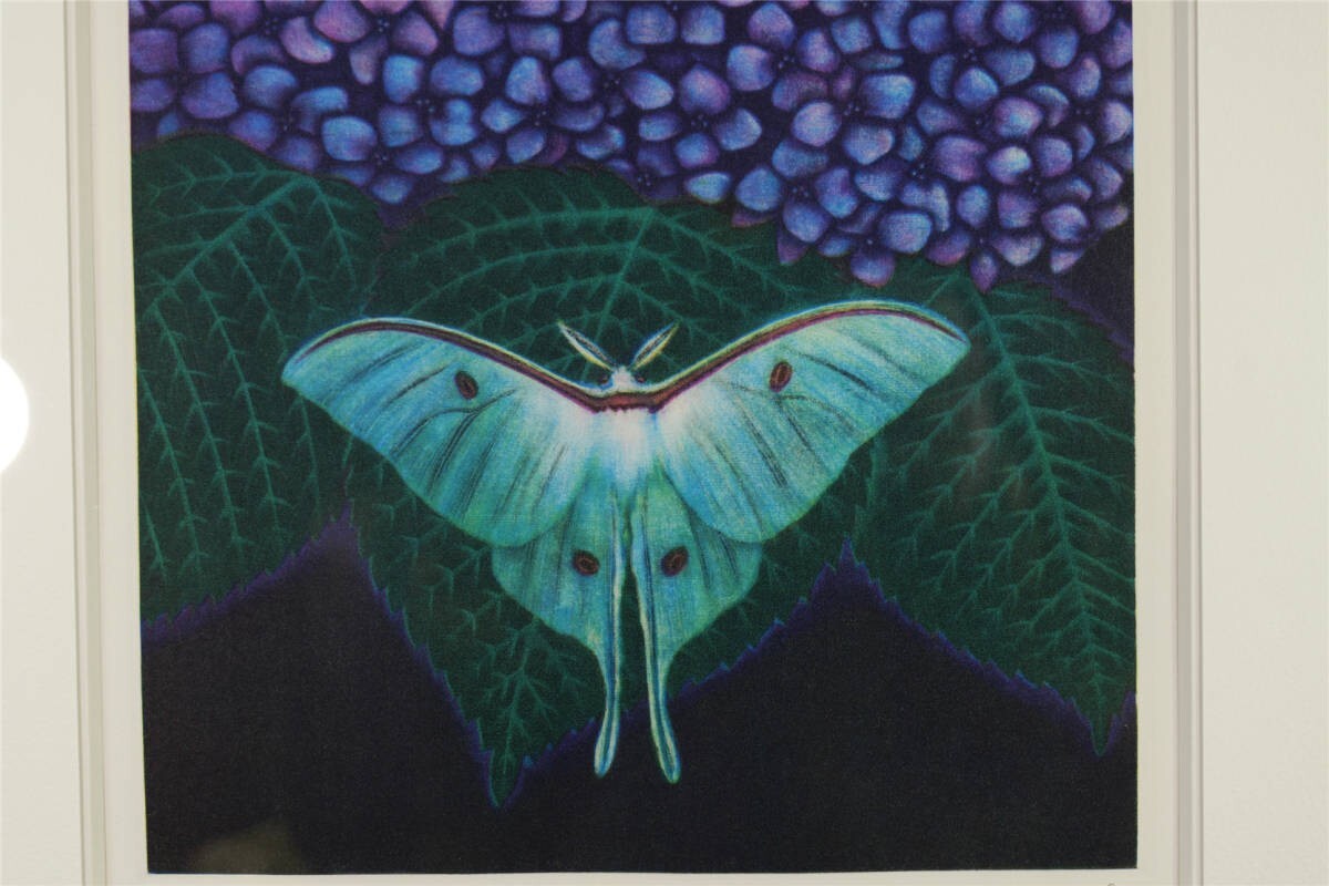 Matazo Kayama 1992 Original Etching Mezzotint