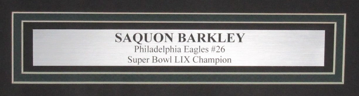 Saquon Barkley Signed/Auto 16X20 Photo