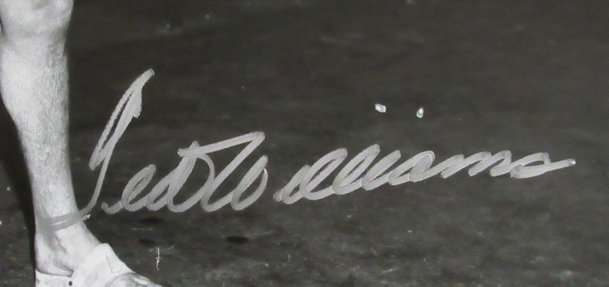 Ted Williams Hof Signed/Autographed 16X20 B/W