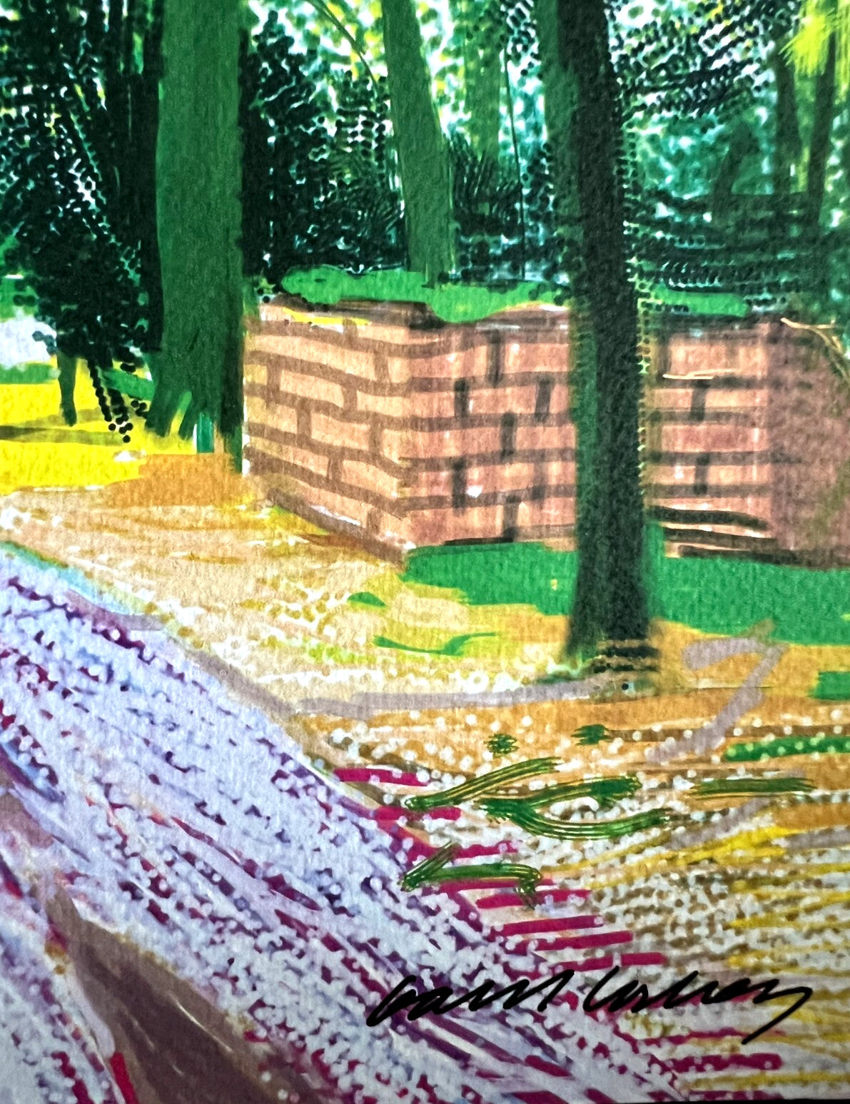 David Hockney Lithograph Coa Signed Op Numbered