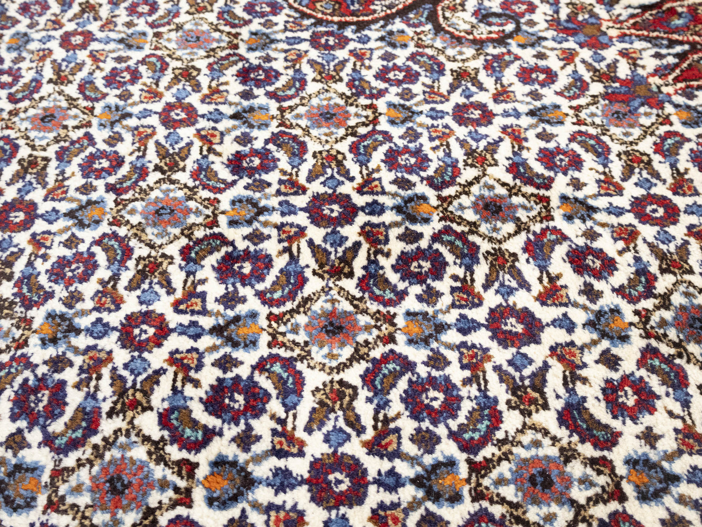 Vintage Oriental Rug Traditional Classic Floral