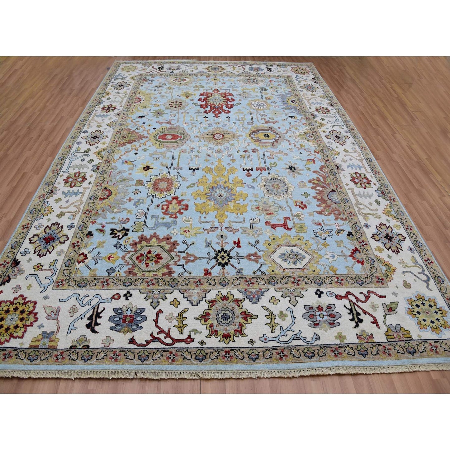9'X12'5" Azure Sky Blue Hand Knotted Wool Agra Leaf Design Oriental Rug