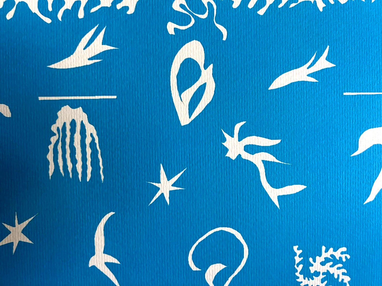 Henri Matisse 'Oceania The Sea' Lithograph Coa