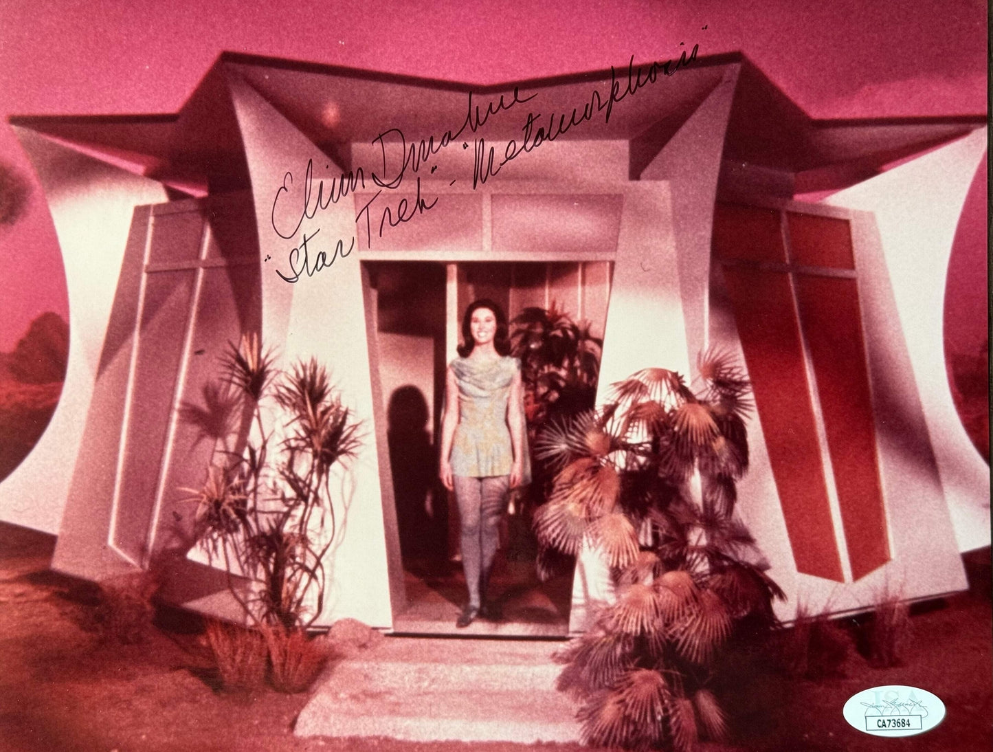 Elinor Donahue Autographed 8X10 Celebrity Photo