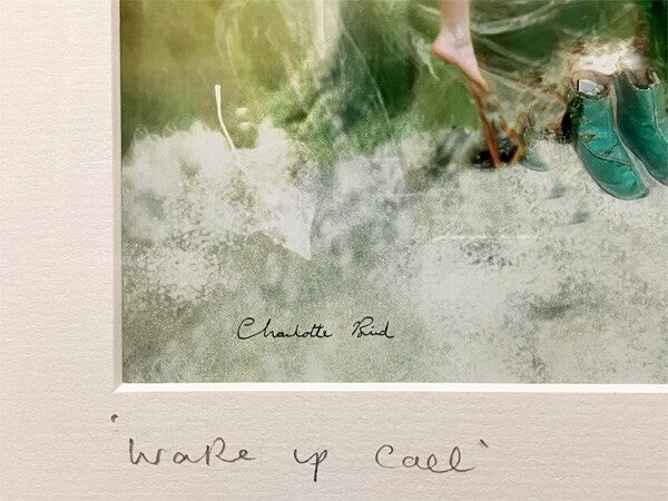 Charlotte Bird (Uk) Photograph Print "Fairy