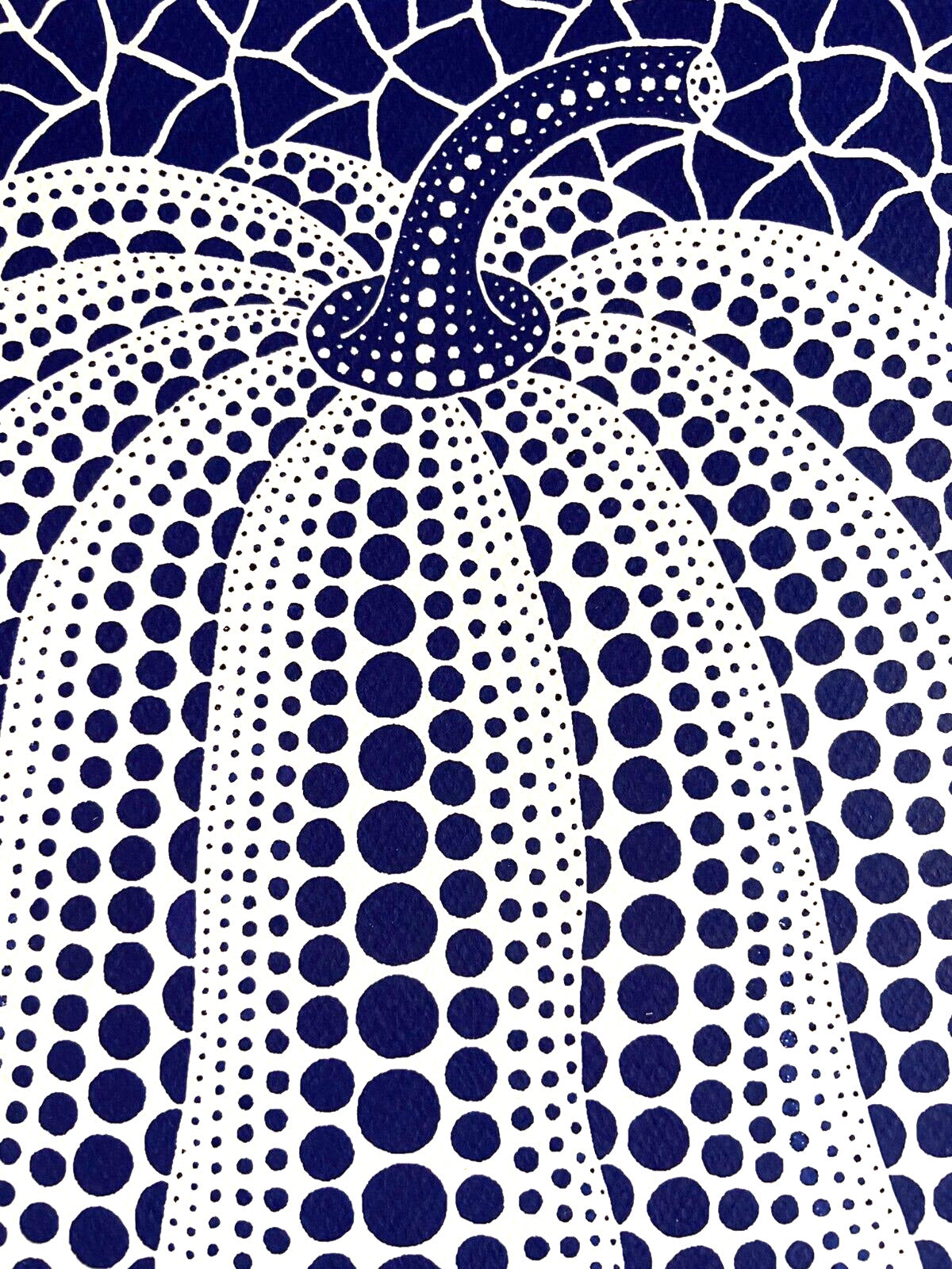 Yayoi Kusama Lithograph Mori Art Museum Coa Hand Numbered .200