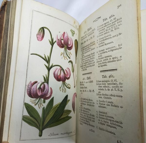 Johannes Zorn Icones Plantarum Medicinalium Vol V 1784 1St Ed Hand Colored Plate