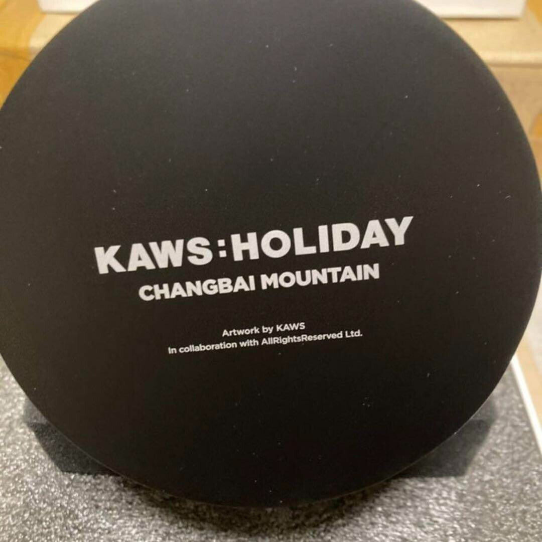 Kaws Holiday Changbai Mountain Snow Globe Limited