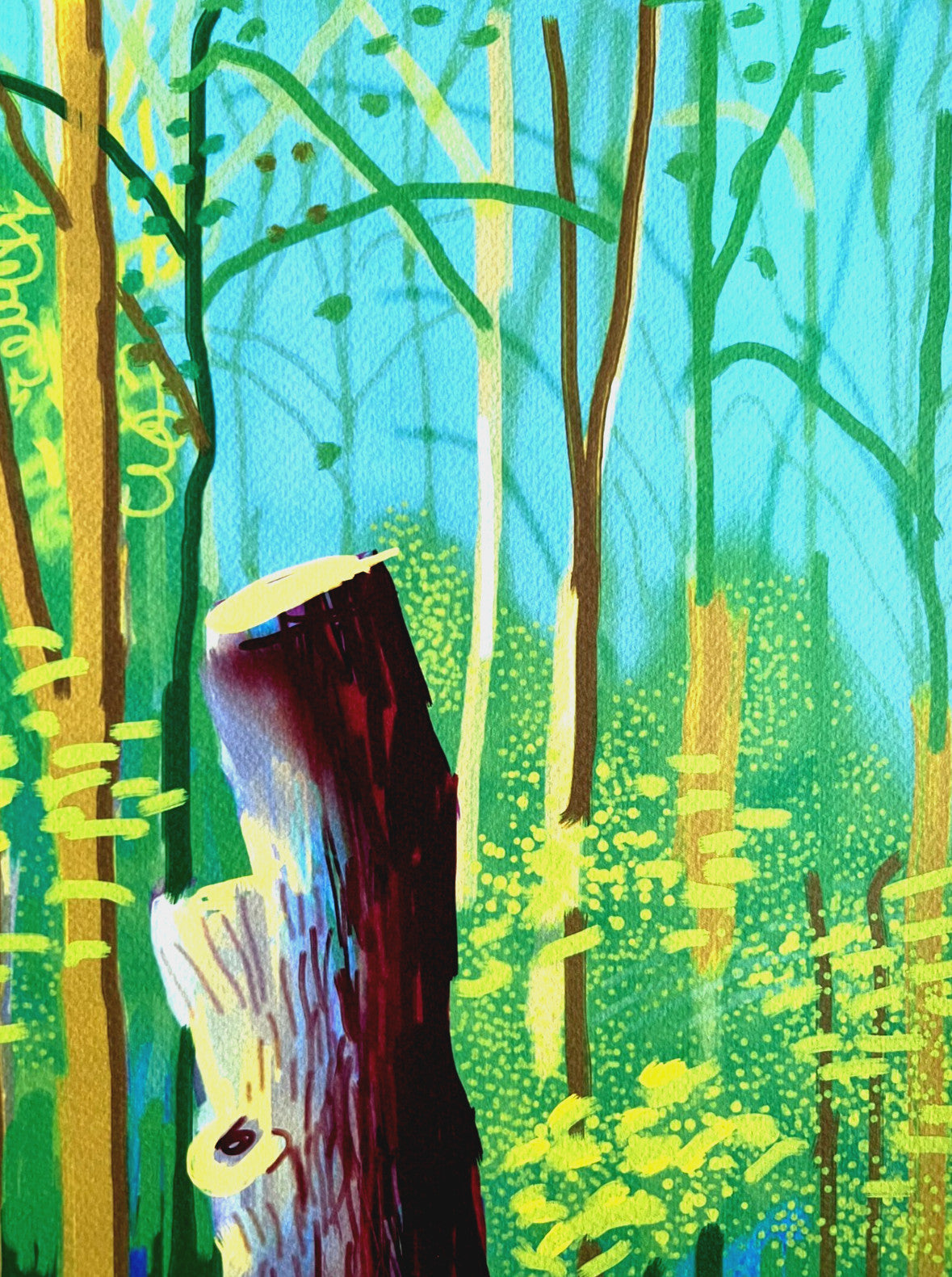 David Hockney Lithograph Coa Signed Op Numbered A